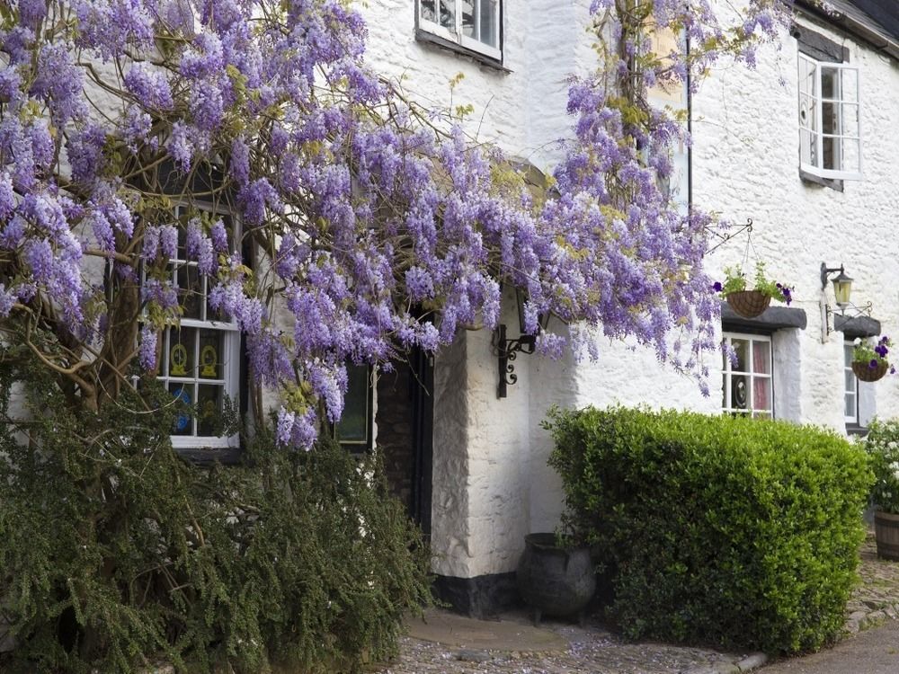 Old Church House Inn ニュートン・アボット エクステリア 写真